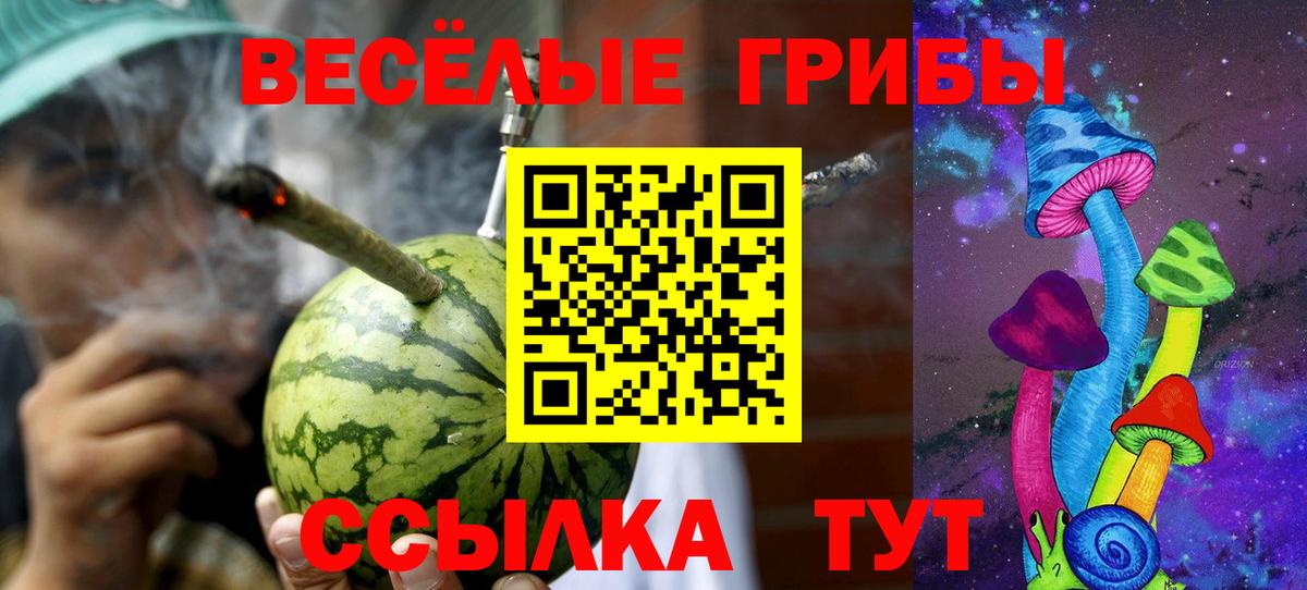 Клинцы  Галлюциногенные грибы GOLDEN TEACHER  Вход с VPN 