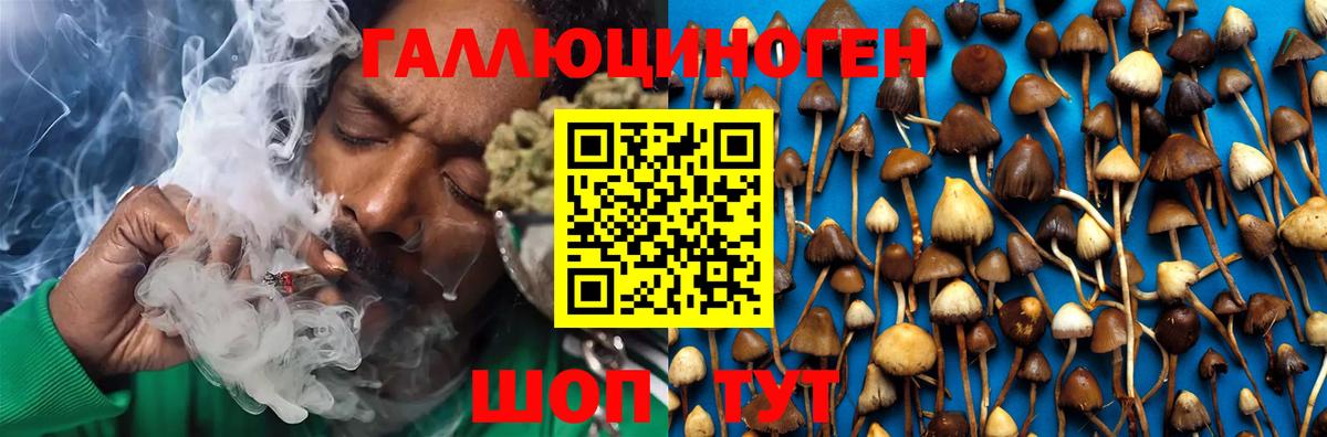 Галлюциногенные грибы ЛСД Клинцы